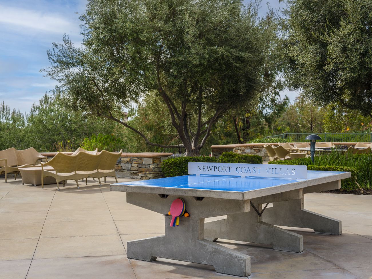 Ping Pong Table